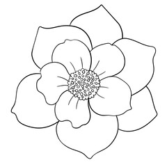 Hand drawn simple flower outline