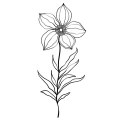 Hand drawn simple flower outline