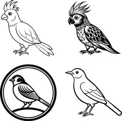 Print birds vector illustration