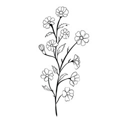 Hand drawn simple flower outline