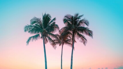 Tropical Sunset with Palm Trees Silhouette