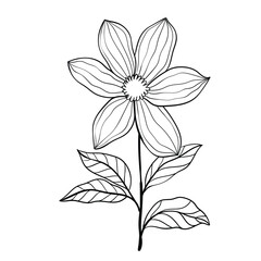 Obraz premium Hand drawn simple flower outline