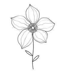 Hand drawn simple flower outline