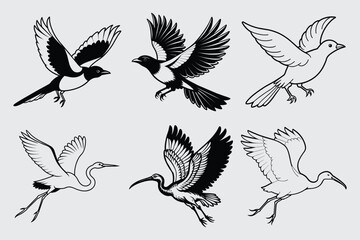 Print 6 flying birds vector illustration
