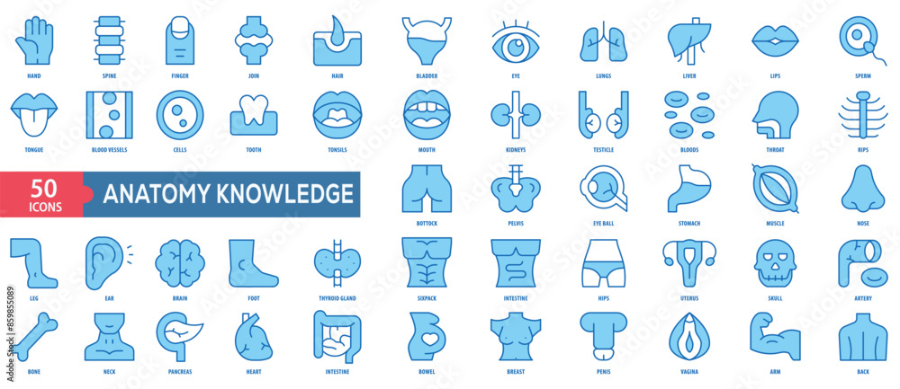 Poster anatomy knowledge icon collection set. easy to use, easy to edit and simple line vector icons.