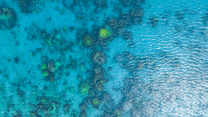 Top view. Summer sea water, blue surface. The water is clear with ripples and sparkles in the sunlight and you can see coral under the sea	
