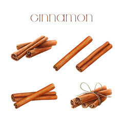 Dry cinnamon spice stick pile watercolor illustration set. Nature raw organic spice from a tree bark. Hand drawn cinnamon element collection for medicine, food and aromatherapy. White background