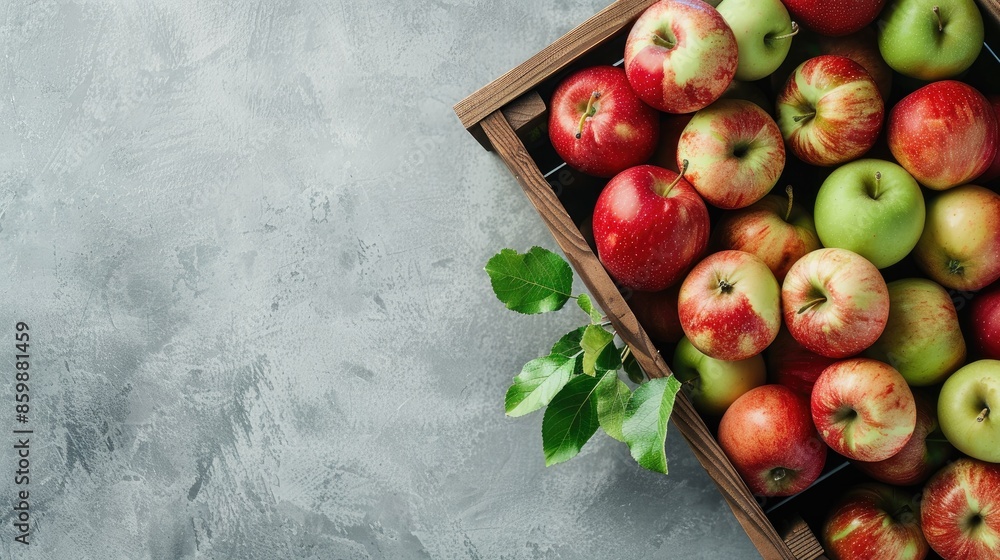 Poster fresh organic red and green apples in wooden crate with light gray background and blank area for tex