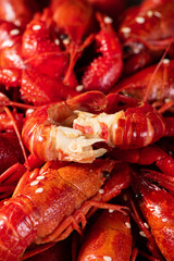 closeup of crawfish tail background.