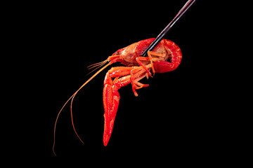 boiled Asian Food Spicy crawfish isolated on black background.