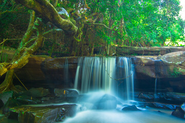 waterfall in the forest