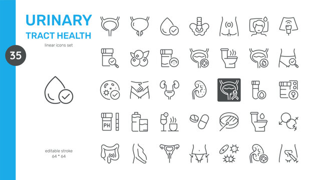 Urinary Tract Health Vector Icons Set. Urinary System Anatomy, Health, Diagnosis, Treatment, and Preventative Care. Editable Linear Symbols Collection on White Background.