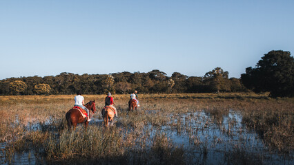 Pantanal