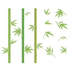 Green bamboo illustration, Vector design elements set.