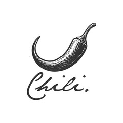 vintage logo design chili hand drawn vector illustration