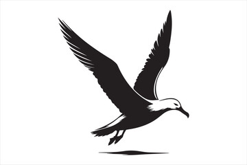 Albatross Vector silhouette image