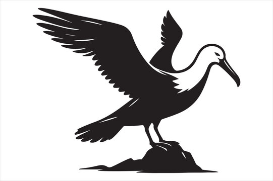 recommend clip art: Albatross Vector silhouette image