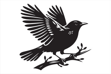 Obraz premium Blackbird Vector silhouette image