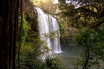 waterfall in the forest, the rainbow falls, new zealand,