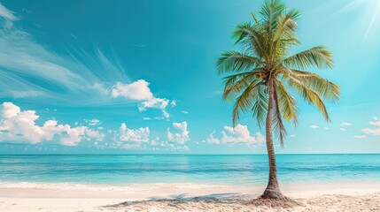 Beautiful palm tree on tropical island beach on background blue sky with white clouds