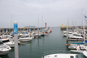 Big and small yachts anchored in the port
