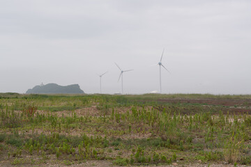 Wide grassland with wind turbines visible

