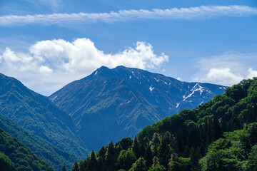 Fototapeta premium 流れる雲