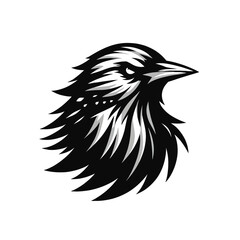 Fototapeta premium Illustration of starling in black and white