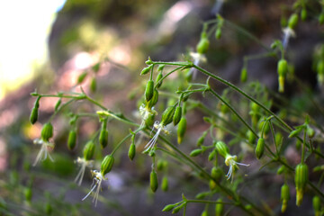 Psalms 36:10 - Pour out your unfailing Love on those who love you