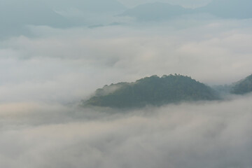 広島市荒谷山から見える雲海