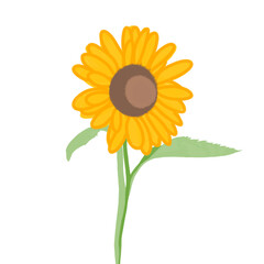 Simple sunflower drawing, bright colors, cute