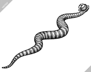 Vintage engraving isolated snake set dressed christmas illustration serpent ink santa costume sketch. Reptile asp background viper silhouette cobra new year hat art. Hand drawn vector image