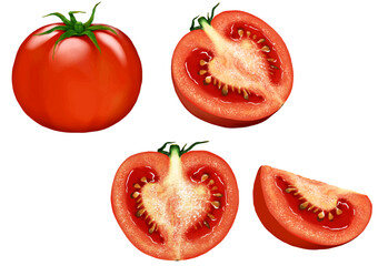 ベクター   トマト　丸ごと一個　半分　断面　