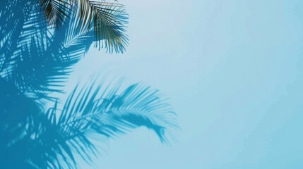 Obraz premium Summer Vibes: Palm Shadow on Blue 