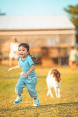 baby girl with happy time in outdoor by run and play in goat group on grasses floor in blue dress