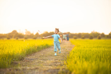 baby girl with happy time on freedom in emotional in outdoor by run play kite on grasses floor in rice fields blue dress