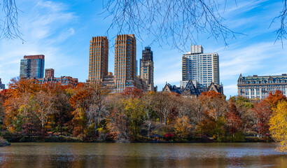 Obraz premium New York. NYC. Central Park Nature fall landscape. Autumnal season in central park. Seasonal cityscape in autumn fall season. Autumn beauty of nature. Nature in city park. Fall cityscape in park