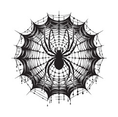 Fototapeta premium SPIDER NET SILHOUETTE VECTOR ILLUSTRATION