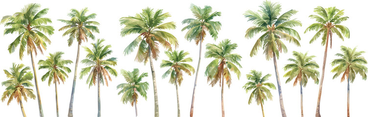 coconut tree watercolor clipart  © dian's