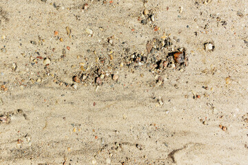 Sand with pebbles texture background macro