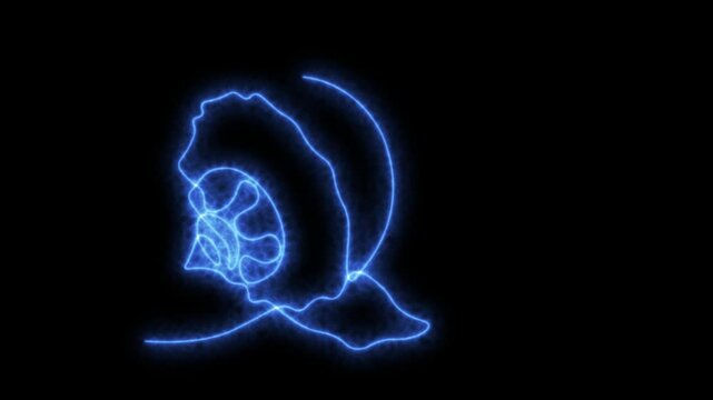 Self drawing animation one continuous line draw, logo, seashell ,Blazing  blue flame, energy