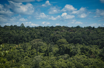 Fototapeta premium Traveling