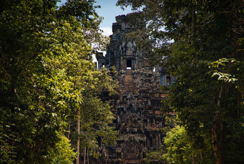 Fototapeta premium Traveling