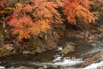 栃木県にある紅葉がとても美しい馬門の滝A waterfall landscape with beautiful autumn leaves in Japan