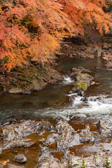 栃木県にある紅葉がとても美しい馬門の滝A waterfall landscape with beautiful autumn leaves in Japan