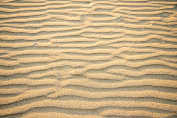 鳥取砂丘の美しい風景Beautiful scenery of Tottori Sand Dunes in Japan
