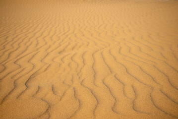 鳥取砂丘の美しい風景Beautiful scenery of Tottori Sand Dunes in Japan