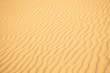 鳥取砂丘の美しい風景Beautiful scenery of Tottori Sand Dunes in Japan