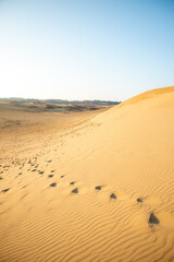 鳥取砂丘の美しい風景Beautiful scenery of Tottori Sand Dunes in Japan