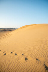 鳥取砂丘の美しい風景Beautiful scenery of Tottori Sand Dunes in Japan